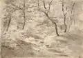 Max Wolf, Waldlandschaft. 1860er Jahre, Feder- und Pinselzeichnung in Tusche, laviert, auf festem Papier