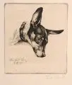 Richard Müller, Mein Hund Boy