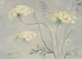Erich Lindenau, Fingerhut und Türkenbundlilie / Türkenbundlilie und Glockenblume / Wilde Möhre / Königskerze. Wohl 1940er/1950er Jahre