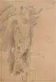Baumstudie. Mitte 19. Jh by Christian Friedrich Gille, Grafitzeichnung auf bräunlichem Papier, sold Sep 2020