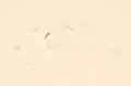 Rudolf Großmann, Drei Aktdarstellungen / Figurengruppe, Um 1930, Federlithografien auf feinem "Perfecta"-Bütten, koloriert