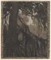 Heinrich Vogeler, Die Lärche, 1897, Radierung auf braunem Bütten