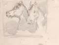 Ferdinand von Rayski, Zwei Pferdeköpfe, Um 1863, Grafitzeichnung auf Papier