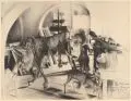 Beim Präparator Schwarze. Zoologisches Museum Dresden by Richard Müller, Lichtdruck nach einer Lithografie, diese im Stein u.re. monogrammiert "R, sold Dec 2019