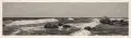 Otto Fischer, Kiefern am Strand / Bäume im Regen / Brandung / Roe-Blick durch eine Schlucht aufs Meer / Walddurchblick / Die große Elbinsel bei Pillnitz Anfang 20., Radierungen