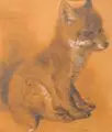Franz Ulrich, Jungfuchs, Grafitzeichnungen, weiß gehöht