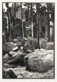 Franz Hein, Waldruine, 1916, Holzschnitt
