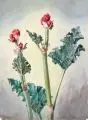 Erich Lindenau, Blühender Rhabarber. Wohl 1940er Jahre, Aquarell auf "P.M