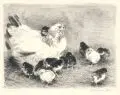 Rudolf Schramm-Zittau, Henne mit Küken. 1. H. 20. Jh, Kreidelithografie auf Bütten