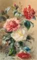 Adolf Noether, Blühende Kamelienzweige, 1884, Aquarell über Bleistift auf bräunlichem "Whatman"-Papier
