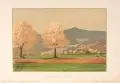 Gustav Kampmann, Baumblüte, Farblithografien auf glattem Papier