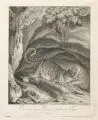 Johann Elias Ridinger, Ein auf den Raub ausfallender Tiger, 1738-1740, Radierung auf Bütten mit roter Schnittverzierung an der re