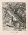 Johann Elias Ridinger, Ein Stuck Wild, Radierungen auf Bütten