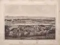 Ernst Schniebs, Ansicht von Loschwitz und Blasewitz, Vor 1891, Lithografie