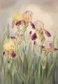 Georg Hermann Gelbke, Tulpen / Schwertlilien. 1930er Jahre