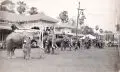 Emil Groote, (zugeschr.), Kriegselefanten in Thailand / Zinngewinnung (?) im Tagebau vor Palmen / Reisfelder unterhalb einiger Tempelanlagen, Um 1910, Silbergelatineabzüge. "Reisfelder" verso in Blei altbezeichnet "Rice fields Groote"