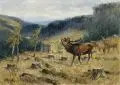 Emil Rieck, Rotwild auf einer Lichtung im Erzgebirge. Anfang 20. Jh, Öl auf Leinwand