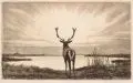 Hirsch am See by Hans Rudolph Hentschel, Radierung in Braun auf kräftigem Papier, sold Jun 2017