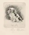 Richard Müller, Pekinese sitzend