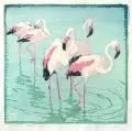 Helene Tüpke-Grande, Flamingo, Farbholzschnitt