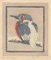 Moritz von Gruenewaldt, Der Eisvogel, 1913, Farbholzschnitt