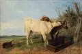 Richard Ansdell, Zwei Kälbchen an der Tränke, 1852, Öl auf Malpappe