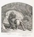 Johann Elias Ridinger, Der Löw von hinten, Radierung auf Bütten