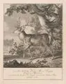 Johann Elias Ridinger, "Anno 1737 Ist von Ihro Hochfürstli. Durchlaucht Maria Augusta Herzogin zu Würtemberg dieser Hirsch in der Brunfft geschossen. Mitte 18. Jh