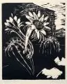 Pol Cassel, Kakteenblüte