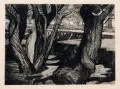 Walter Leistikow, Weiden, 1896, Kaltnadelradierung auf Kupferdruckpapier