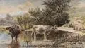 Hermann Kauffmann, Kühe in einem Weiher. Wohl 3. Viertel 19. Jh, Aquarell über Federzeichnung in Schwarz