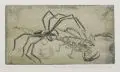 Gussy Hippold-Ahnert, Spinne und Skorpion, 1932, Farbradierung mit Tonplatte