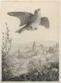 Ernst Erwin Oehme, Ansicht von Pirna mit fliegender Singdrossel und Naturstudie. 2. H. 19. Jh