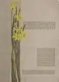 Alois Bouda, Die Pflanzen in der dekorativen Kunst. II. Teil., Farbpochoirs auf genarbtem Papier