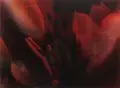Jean Kirsten, Magnolienblüten, 2012, Ätzung und Airbrush auf rot getöntem Echt-Antikglas sowie Siebdruck auf ESG (Einscheibensicherheitsglas) montiert