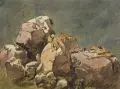 Johann Baptist Heinefetter, Gesteinsstudie. 2. H. 19. Jh, Aquarell über Bleistift