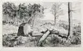 Max Klinger, Simplicius in der Waldeinöde, Um 1881, Radierung auf China, auf Kupferdruckpapier aufgewalzt