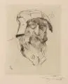 Lovis Corinth, Studienblatt mit Ochsenskizzen und Ritterkopf, 1914, Kaltnadelradierung auf Japan