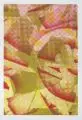 Jean Kirsten, Pittsburgh Series, 2007, Farbserigraphie (Experimenteller Siebdruck)