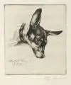Mein Hund Boy by Richard Müller, 1915, Radierung auf dünnem Japanbütten mit wolkiger Binnenstruktur, sold Dec 2014