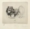 Pekinese (nach links) by Richard Müller, 1922, Radierung mit Tonplatte auf glattem Japanbütten mit wolkiger Binnenstruktur, sold Dec 2014
