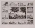F. E. Schmidt, Erinnerung an Dresden., Um 1850, Stahlstich