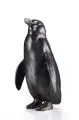 August Gaul, Pinguin (Kopf nach links), Silber, gegossen