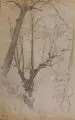 Ludwig von Hofmann, Wald bei Pillnitz