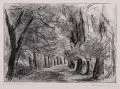 Max Liebermann, Alleeblick, Um 1925, Holzstich auf hauchdünnem Papier