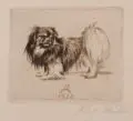 Richard Müller, Pekinese (nach links), 1922, Kaltnadelradierung in Dunkelbraun