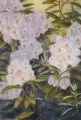 Georg Hermann Gelbke, Rhododendron