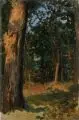 Carl Wilhelm Müller, (zugeschr.), Kleine Waldstudie, 1880, Öl auf Leinwand, auf Malpappe aufgezogen