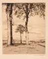 Hermann Kätelhön, Drei Bäume in weiter Landschaft, Um 1915, Radierung in Schwarzbraun mit Tonplatte auf Velin