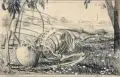 Richard Müller, Skelett im Grase, 1896, Graphitzeichnung und Bleistift, weiß gehöht auf chamoisfarbenem Papier